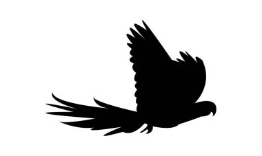 Uçan Papağan Silüeti Tasarımı ve Vektör İllüzyonu. 