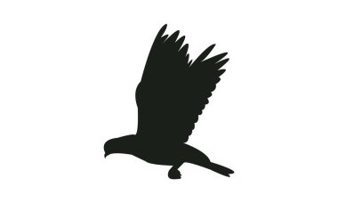 Uçan Güvercin Silüet Tasarımı ve Vektör İllüstrasyonu. 