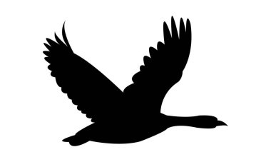Uçan Kaz Kuşu Silüeti Tasarımı ve Vektör İllüstrasyonu. 