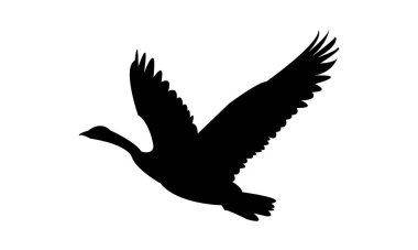 Uçan Kaz Kuşu Silüeti Tasarımı ve Vektör İllüstrasyonu. 