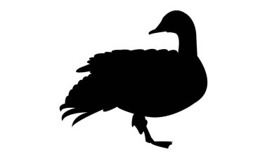 Kaz Kuşu Silüeti Tasarımı ve Vektör İllüstrasyonu. 