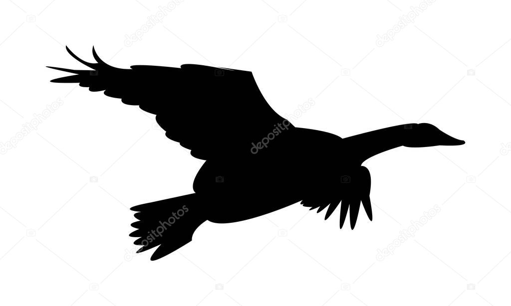 Flying Goose Bird Silhouette Design  And Vector Illustration.