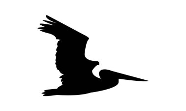 Uçan pelikan kuş silueti tasarımı ve vektör illüstrasyonu. 