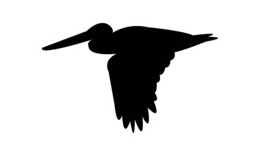 Uçan pelikan kuş silueti tasarımı ve vektör illüstrasyonu. 