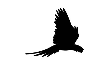 Uçan Makav Kuşu Silüet Tasarımı ve Vektör İllüstrasyonu. 