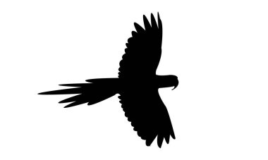 Uçan Makav Kuşu Silüet Tasarımı ve Vektör İllüstrasyonu. 