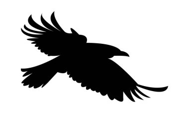 Uçan Karga Kuş Silüeti Tasarımı ve Vektör İllüstrasyonu. 