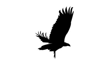 Akbaba Kuşu Görüntü Tasarımı ve Vektör İllüstrasyonu. 