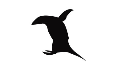 Penguen Kuşu Görüntü Tasarımı ve Vektör İllüstrasyonu. 