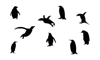 Penguen Kuşu Görüntü Tasarımı ve Vektör İllüstrasyonu. 
