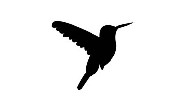 Uçan Sinek Kuşu Siluet Tasarımı ve Vektör İllüstrasyonu. 