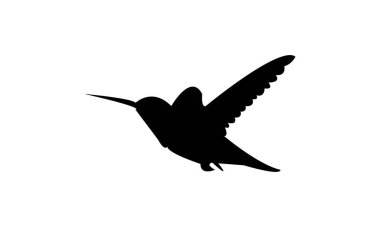 Uçan Sinek Kuşu Siluet Tasarımı ve Vektör İllüstrasyonu. 