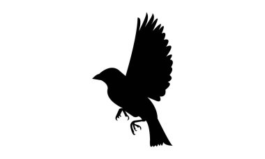 Uçan Serçe Kuş Silüeti Tasarım ve Vektör İllüstrasyonu. 