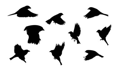 Flying Sparrow Bird Silhouette Design  And Vector Illustration.  clipart