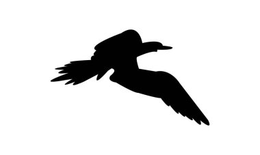Uçan Göğüs Kuşu Silüeti Tasarım ve Görüntü. 