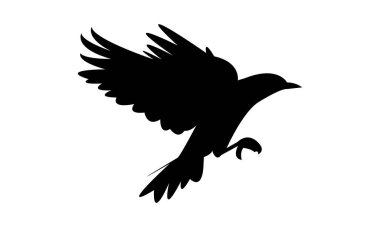 Uçan Sığırcık Kuş Görüntü Tasarımı ve Vektör İllüstrasyonu. 