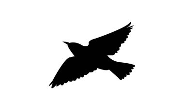 Uçan Sığırcık Kuş Görüntü Tasarımı ve Vektör İllüstrasyonu. 