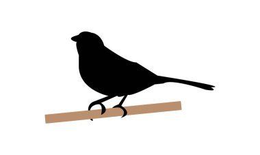 Towhee Bird Silhouette Design  And Vector Illustration.  clipart