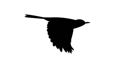 Kedi Kuşu Silüeti Tasarımı ve Vektör İllüstrasyonu. 