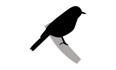 Slaty Flycatcher Kuş Yakalayıcısı Siluet Tasarımı ve Vektör İllüstrasyonu. 