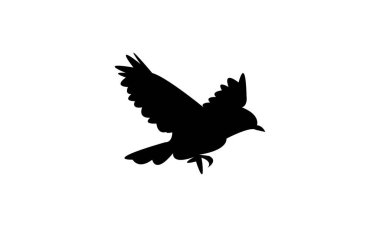 Flying Wheatear Bird Silhouette Design  And Vector Illustration. 