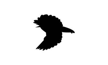 Uçan Beyaz Gözlü Kuş Görüntü Tasarımı ve Vektör İllüzyonu. 