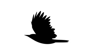 Uçan Ağaçkakan Kuş Silueti Tasarım ve Vektör İllüstrasyonu. 