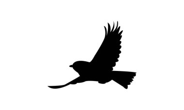 Flying Tit  Bird Silhouette Design  And Vector Illustration. 