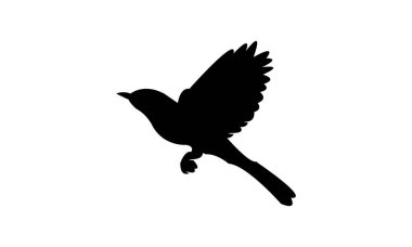 Mavi Sinek Yakalayıcı Kuş Görüntü Tasarımı ve Vektör İllüstrasyonu. 