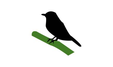 Mavi Sinek Yakalayıcı Kuş Görüntü Tasarımı ve Vektör İllüstrasyonu. 