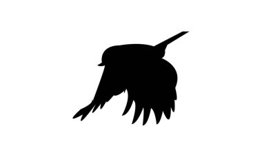 Flying African Blue Tit bird Silhouette Design  And Vector Illustration. 