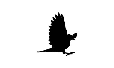 Uçan Afrika Papatya Kuşu Siluet Tasarımı ve Vektör İllüstrasyonu. 