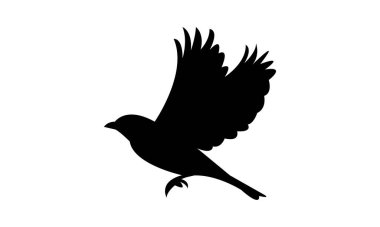 Uçan Afrika Papatya Kuşu Siluet Tasarımı ve Vektör İllüstrasyonu. 