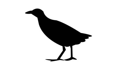 Afrika crake kuşu silueti tasarımı ve vektör illüstrasyonu. 