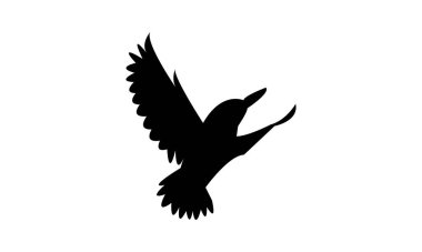 Afrikalı cüce balıkçı kuş silueti Tasarım ve Vektör İllüstrasyonu. 