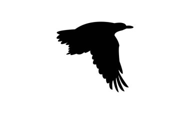 Uçan Afrika altın oriolü kuş silueti tasarım ve vektör illüstrasyonu. 