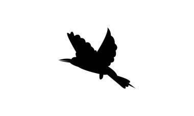 Afrikalı yeşil arı yiyen kuş silueti Tasarım ve Vektör İllüstrasyonu. 