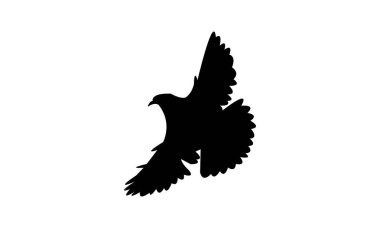 Afrikalı yeşil güvercin kuş silueti tasarımı ve vektör illüstrasyonu. 