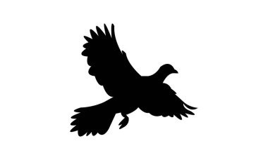 Afrikalı yeşil güvercin kuş silueti tasarımı ve vektör illüstrasyonu. 