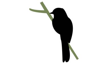 Afrika grisinekkapanı kuş silueti tasarım ve vektör çizimi. 