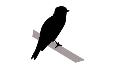 Afrika grisinekkapanı kuş silueti tasarım ve vektör çizimi. 