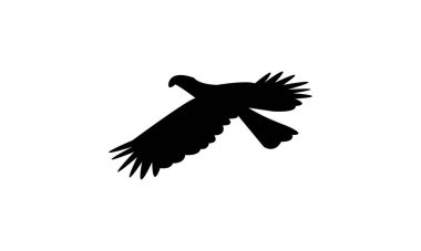 Uçan Afrika boynuz gagalı kuş silueti Tasarım ve Vektör İllüstrasyonu. 