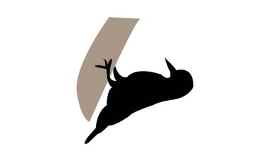 Afrikalı gri ağaçkakan kuş silueti tasarım ve vektör illüstrasyonu. 