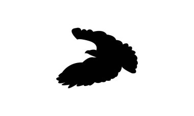 Flying African harrier hawk bird Silhouette Design  And Vector Illustration. 