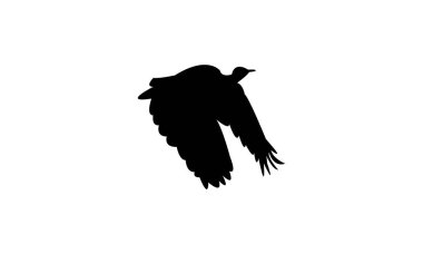 Uçan Afrikalı Houbara kuş silueti Tasarım ve Vektör İllüstrasyonu. 
