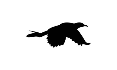 Uçan Afrikalı Jacana kuş silueti tasarım ve vektör ilüstrasyonu. 