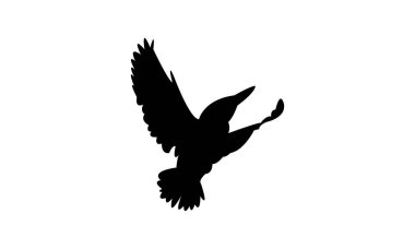 Afrika pigme kralbalıkçısı kuş silueti tasarım ve vektör ilüstrasyonu. 