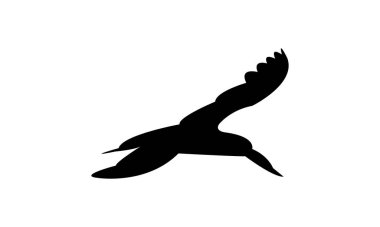 Uçan Afrikalı kaypak kuş silueti Tasarım ve Vektör İllüstrasyonu. 