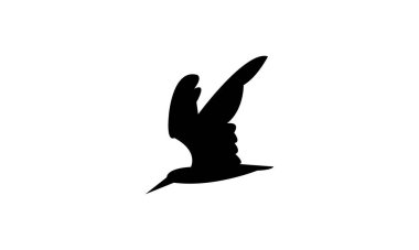 Uçan Afrikalı kaypak kuş silueti Tasarım ve Vektör İllüstrasyonu. 