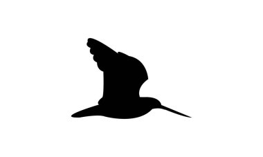 Uçan Afrikalı çulluk kuşu silueti Tasarım ve Vektör İllüstrasyonu. 